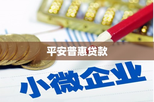 阳信平安普惠贷款