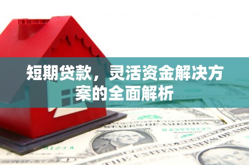 吐鲁番短期贷款，灵活资金解决方案的全面解析