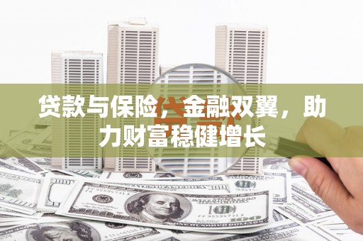 禄丰贷款与保险，金融双翼，助力财富稳健增长