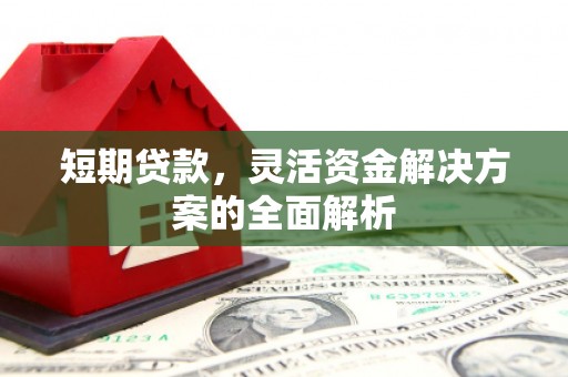 乐清短期贷款，灵活资金解决方案的全面解析