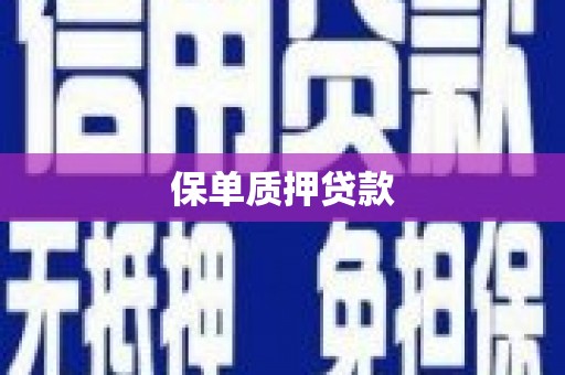 泾县保单质押贷款