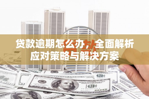 龙湾贷款逾期怎么办，全面解析应对策略与解决方案