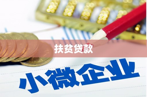 虎门扶贫贷款