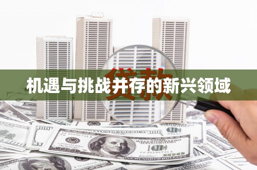 乐清机遇与挑战并存的新兴领域