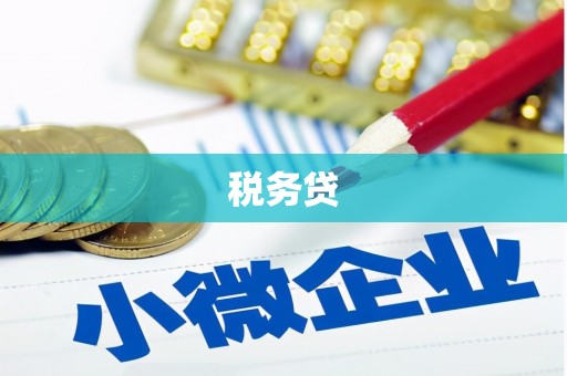 孝南税务贷