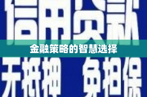 荔城金融策略的智慧选择