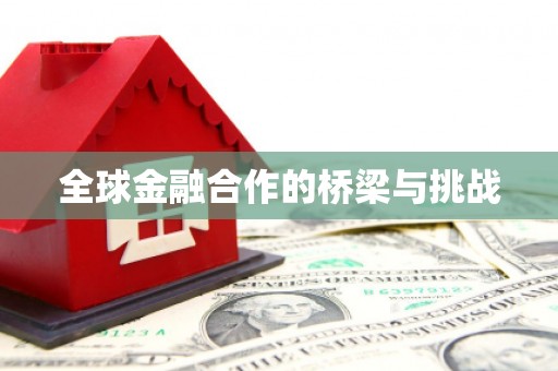 灌阳全球金融合作的桥梁与挑战