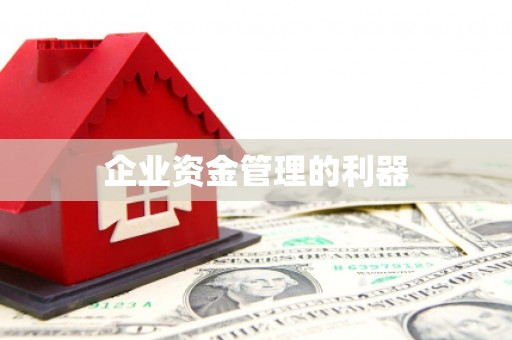 沙坪坝企业资金管理的利器